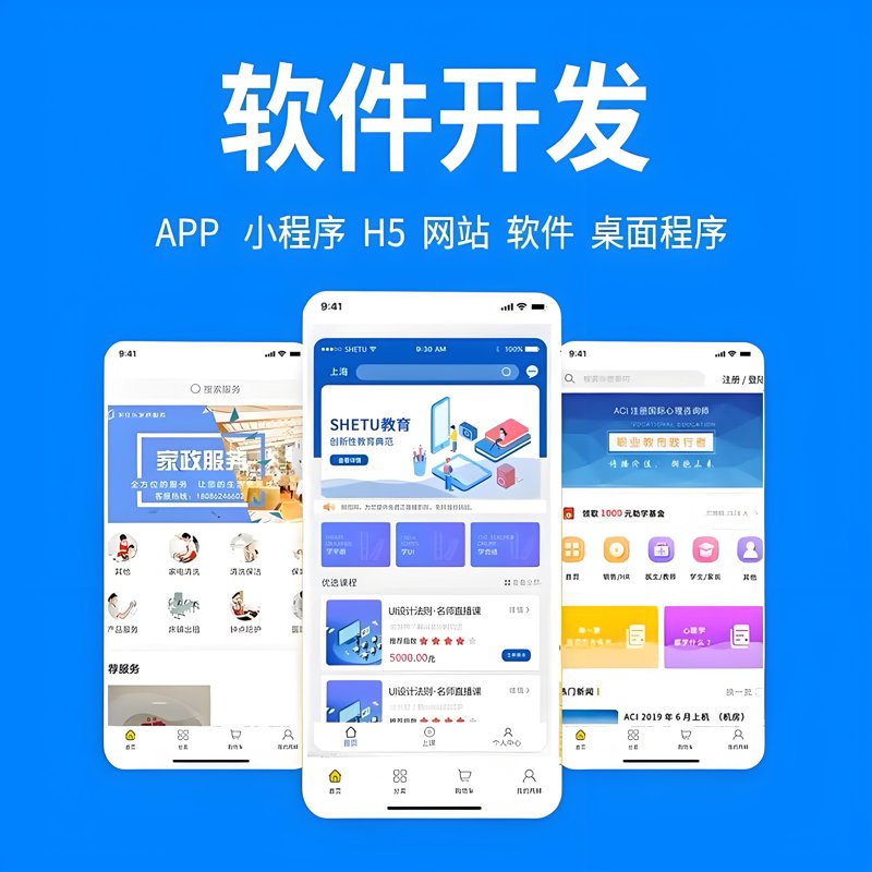 软件定制开发：企业创新的助推器